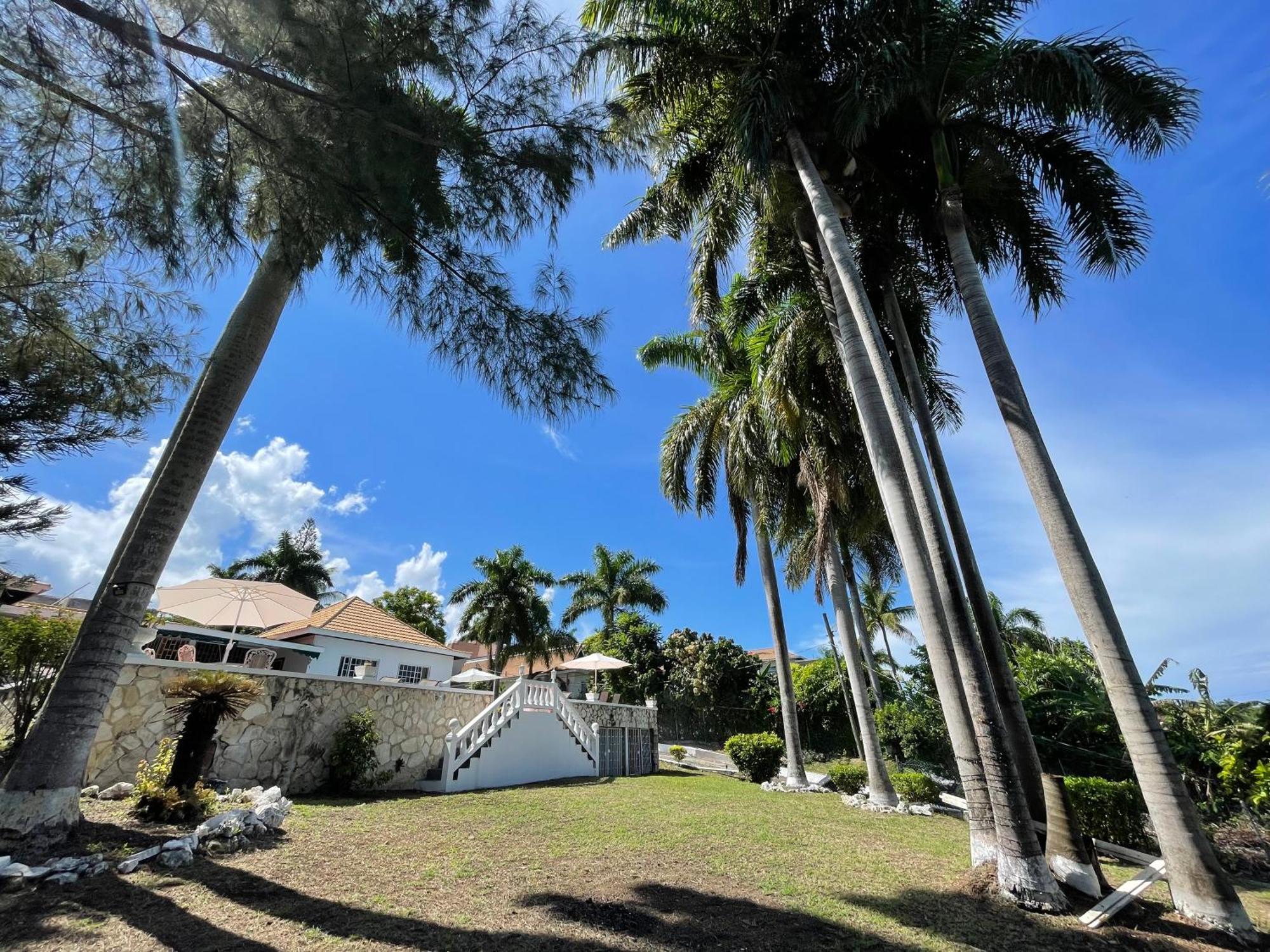 Peaceful Palms Montego Bay Hotel Exterior foto